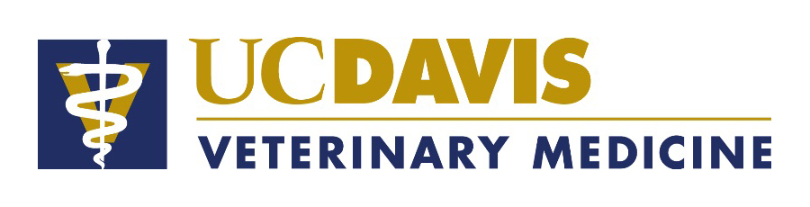 Veterinary Medicine best college essays Veterinary Medicine best college essays
