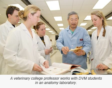 Students in lab