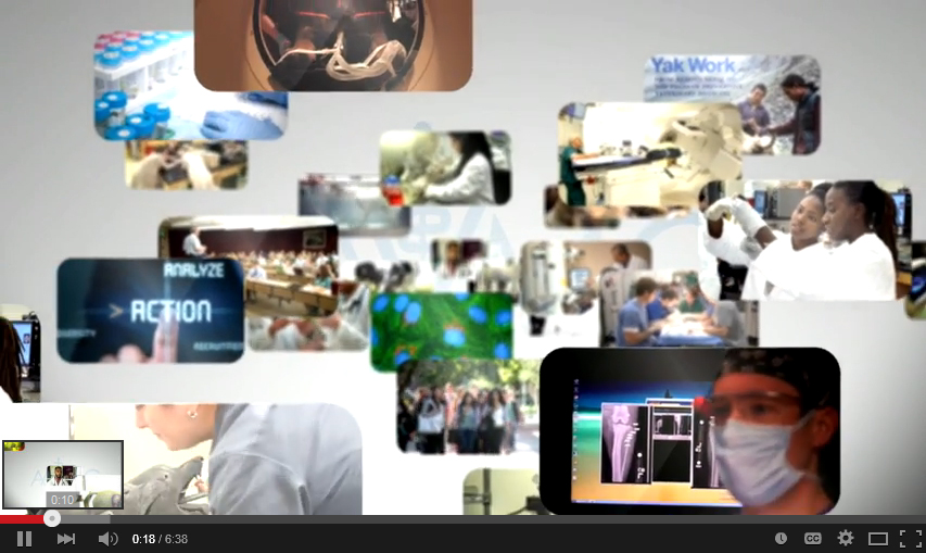 Video Screenshot