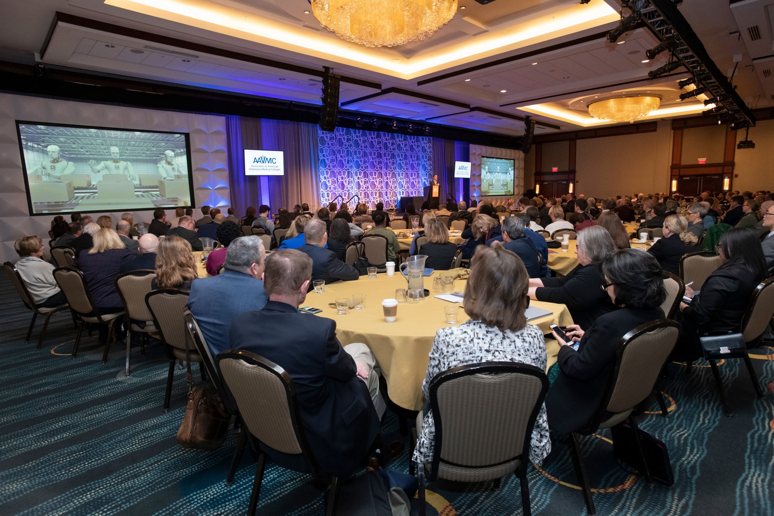 Conferences & Meetings AAVMC