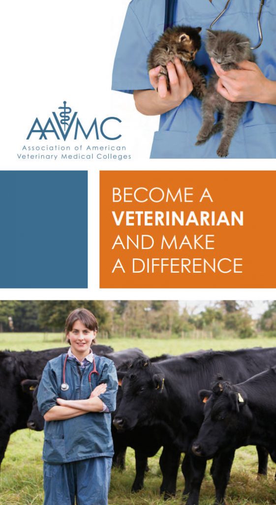 A Career in Veterinary Medicine - AAVMC