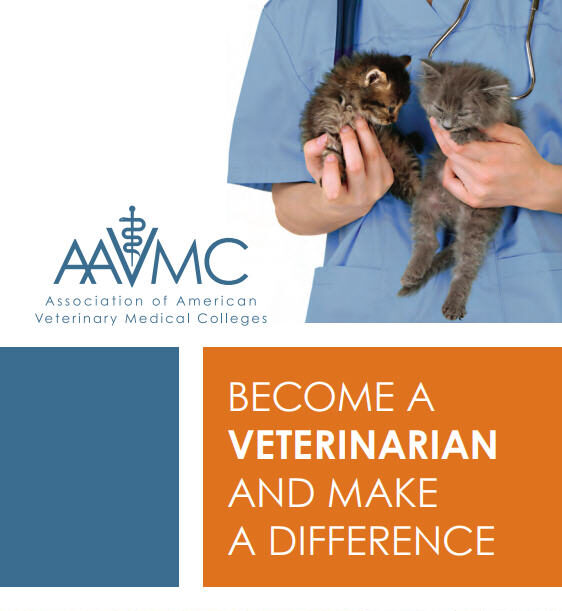Careers in Veterinary Medicine Brochure