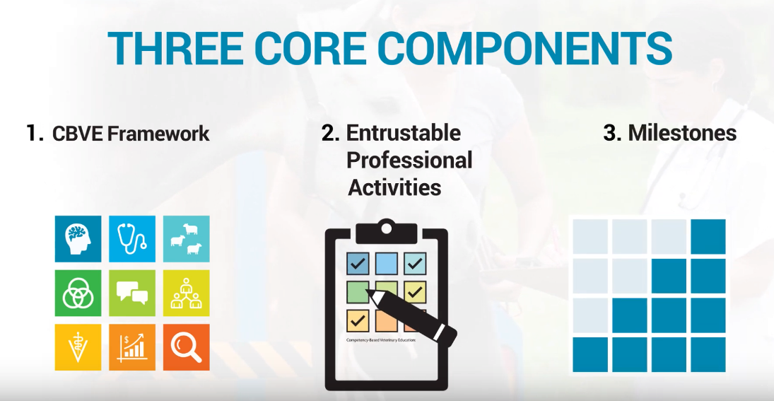 April 2021 VetMed Educator AAVMC