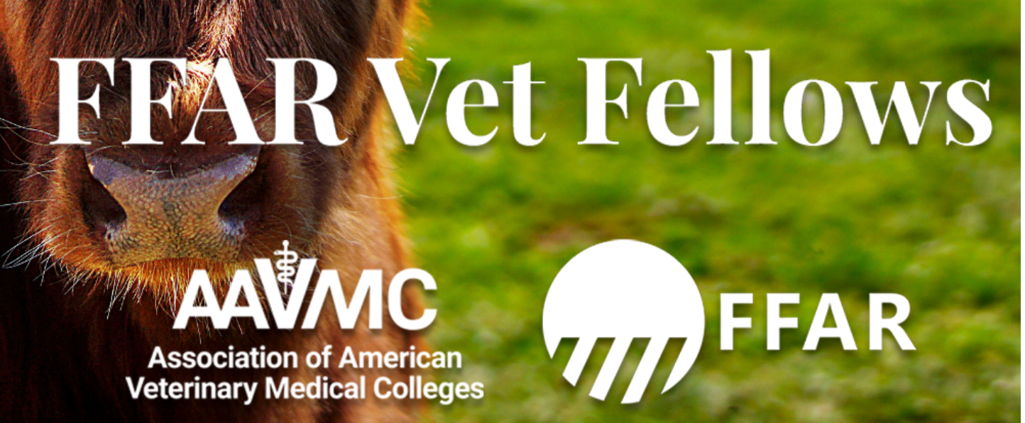July 2021 VetMed Educator AAVMC