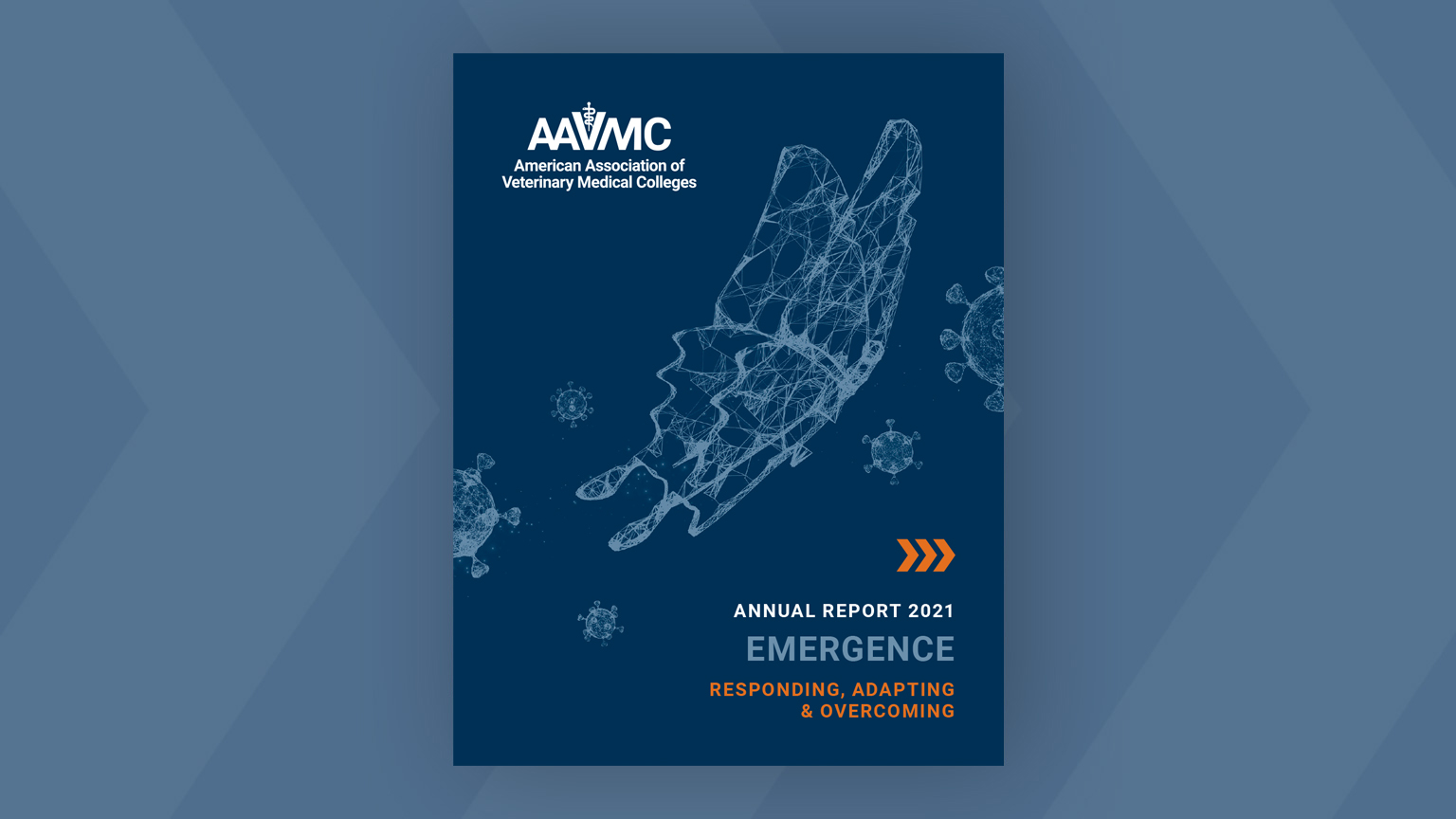 2021 Annual Report