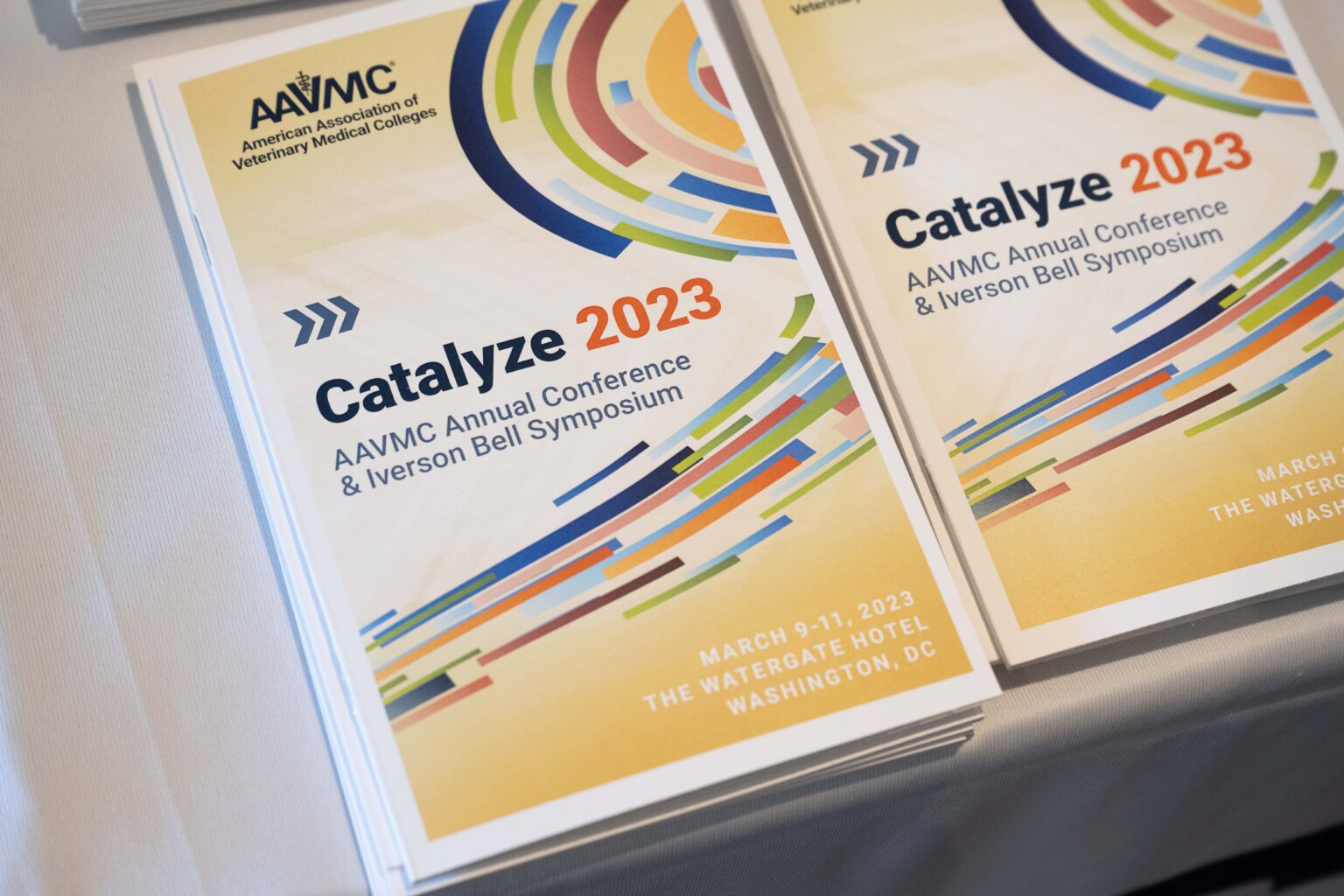 2023 Annual Conference Summary AAVMC