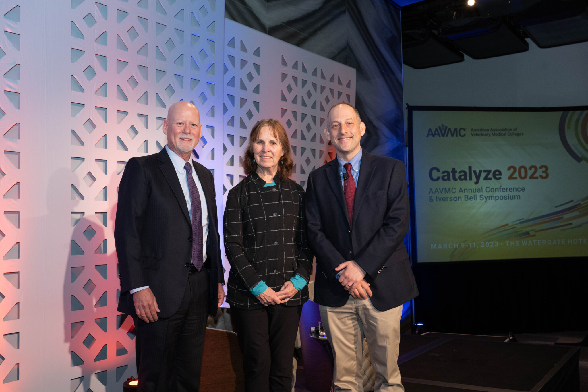 2023 Annual Conference Summary AAVMC