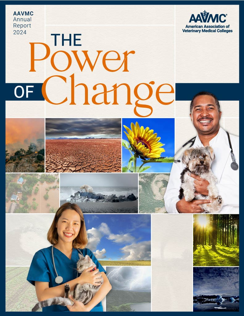 annual report cover_2024