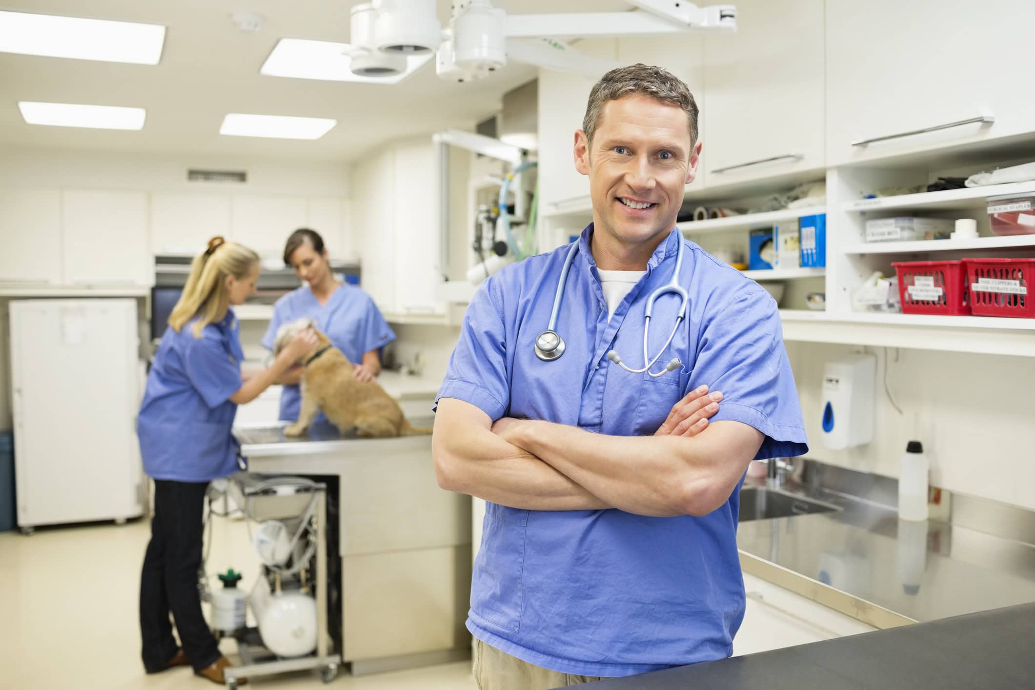 Smiling veterinarian standing in vet's surgery Smiling veterinarian standing in vet's surgery
